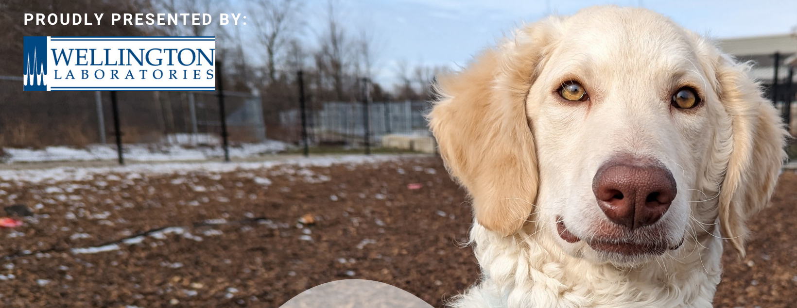 2023 Guelph Humane Society's Happy Trails Walk-a-thon